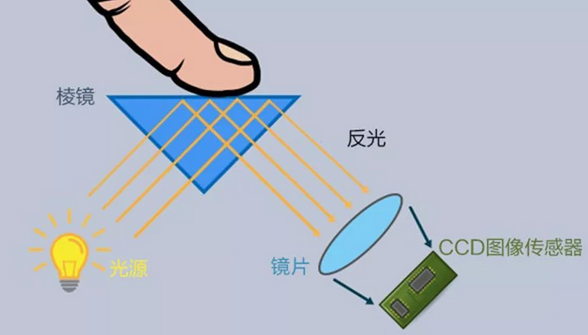 一文带您认识最热的屏下指纹识别技术