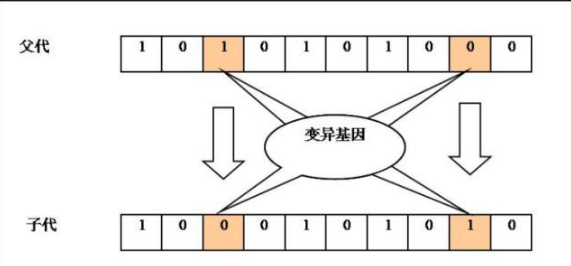 深不可测的遗传算法的原理原来是这么简单