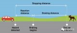 根據(jù)機動車事故原因分析報告，人類反應時間有四個部分組成