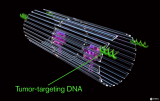 中美联合狙击癌细胞  DNA纳米机器人立功