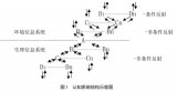 探索人类认知的本质及其规律，研究策略侧重于系统科学的方法论