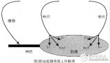 生物神經(jīng)電極放大器系統(tǒng)(肌電檢測(cè)系統(tǒng))的設(shè)計(jì)及測(cè)試