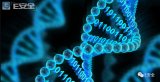 美国情报界关于DNA存储海量数据的探索