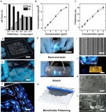 微流控和<b class='flag-5'>液态</b><b class='flag-5'>金属</b>结合 助力<b class='flag-5'>柔性</b><b class='flag-5'>电子器件</b>大规模制造