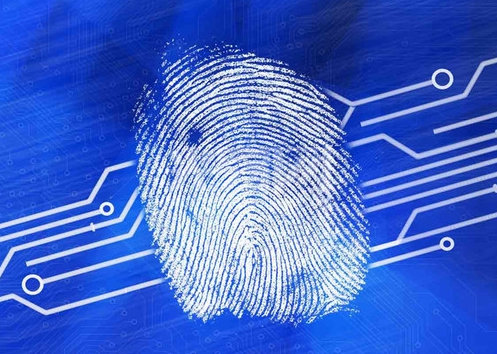 中低阶智能型手机生物识别大战已开打,指纹识别或将被淘汰