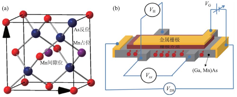 (a)磁性半导体(ga,mn)as的晶体结构示意图;(b)基于(ga,mn)as