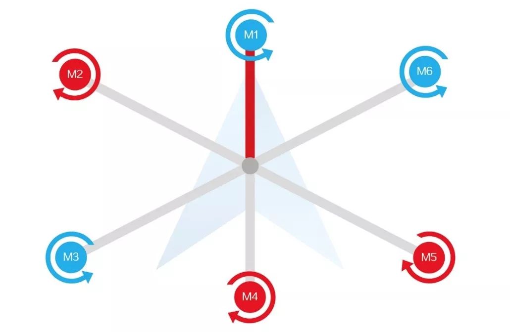 树是怎么辨别方向的 pIYBAFwIi4iAE2_7AAB256gCtl4042.jpg