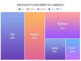 2018年，JetBrains发起了其标准的年度调查项目