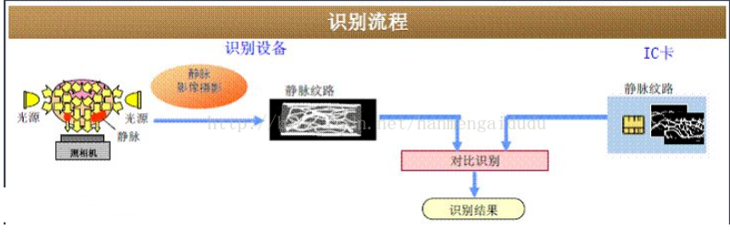 一文读懂指静脉识别技术