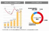 日本再生晶圓大廠RS Technologies 公布 2018 年度財報