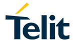 Telit Wireless Solutions(泰利特)