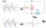 电压的变化超前于电流，电流的变化滞后于电压