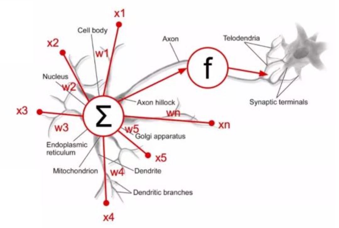 人工神经网络法_人工智能 人工神经网络_人工神经网络的原理