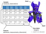 手把手教你使用Python實現(xiàn)機器學(xué)習(xí)算法