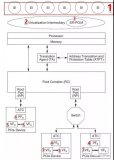 SR-IOV在云计算数据中心的应用方法、价值和前景