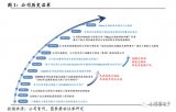 一份关于国产光刻机龙头——上海微电子的介绍