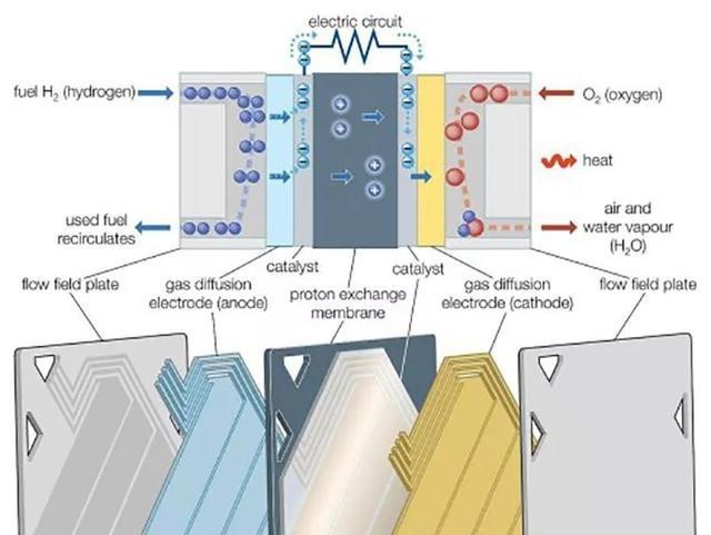 燃料电池示意图图片