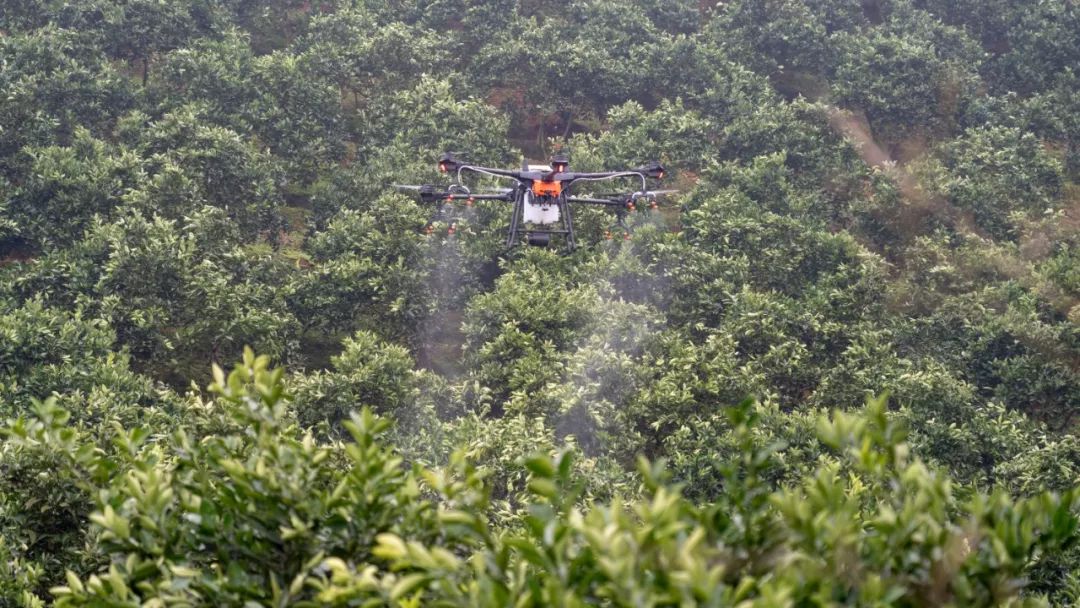 5 月 8 日,dji 大疆农业发布果树模式的新版固件.