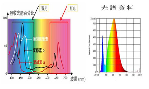 LED<b class='flag-5'>植物</b>灯<b class='flag-5'>光谱</b>的<b class='flag-5'>研究</b>及应用