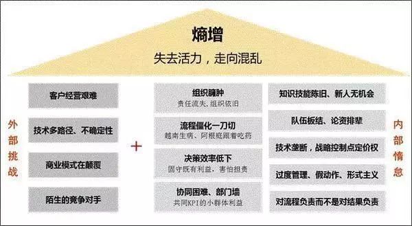 华为任正非展现世界级企业如何逆转熵增 使寒冬中的生存成为可能