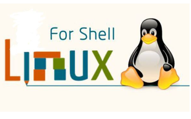 <b class='flag-5'>Linux</b> <b class='flag-5'>Shell</b><b class='flag-5'>脚本</b>编程基础和<b class='flag-5'>相关</b>资料合集免费下载