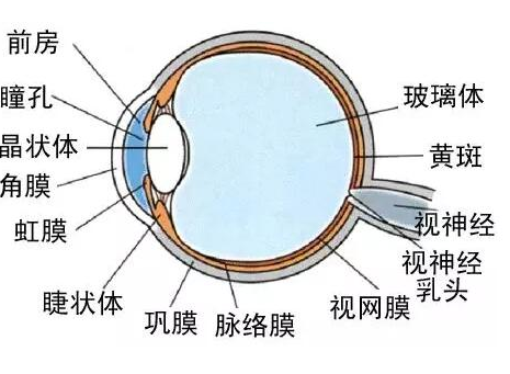 一种真正以人为本的景观照明设计方案