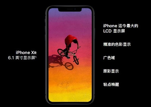 pIYBAF020R-AeVxHAAHq5m0g8cE856.png