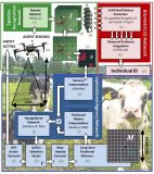 無人機變身“牧牛犬”?AI在未來牧場的應用呈現(xiàn)新可能