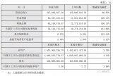 大立科技2019年半年度主要財務(wù)數(shù)據(jù)和指標(biāo)情況及差異說明