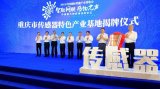 2019中国国际智能产业博览会传感器与物联网高峰...