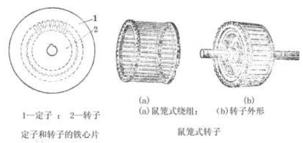 <b class='flag-5'>鼠籠式</b><b class='flag-5'>電機</b>結構_<b class='flag-5'>鼠籠式</b><b class='flag-5'>電機</b>的優缺點