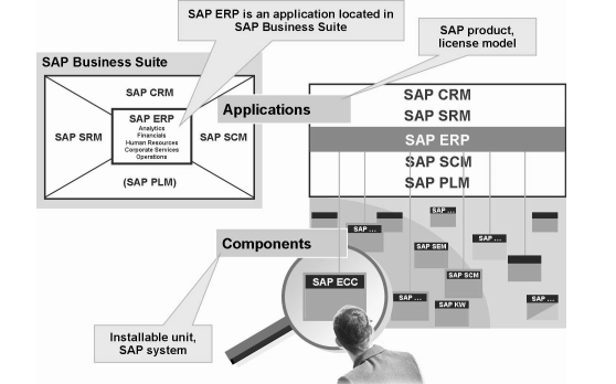 <b class='flag-5'>SAP</b>系统架构和客户机概念等详细资料说明
