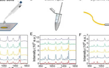 基于微流控技術的<b class='flag-5'>表面</b><b class='flag-5'>增強</b>拉曼在醫療領域的應用