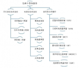 IGBT政策支持 国内厂商与国际巨头正面竞争