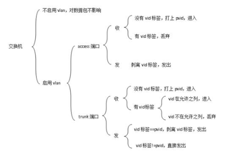 交換機Access口與Trunk口的基本概念