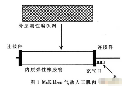 基于McKibben型<b class='flag-5'>气动人工</b><b class='flag-5'>肌肉</b>实现构建机器人关节控制的<b class='flag-5'>软硬件</b><b class='flag-5'>系统</b>