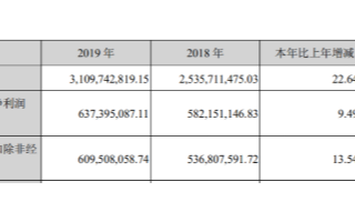 2019年我国光伏产业规模持续扩大，晶盛机电实现营收310974.28万元