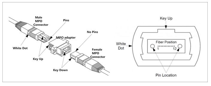 <b>MPO</b><b>光纤</b>连接器/<b>光纤</b><b>跳线</b>：满足400G的<b>高速</b><b>传输</b><b>需求</b>