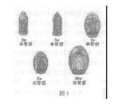 电子灭蚊灯电路的工作原理解析