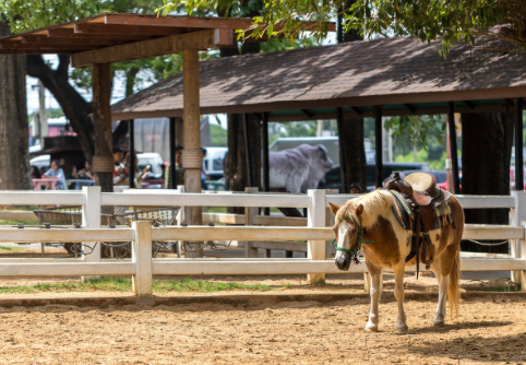 印度初创公司urbankisaan为解决水危机,推出led垂直农场