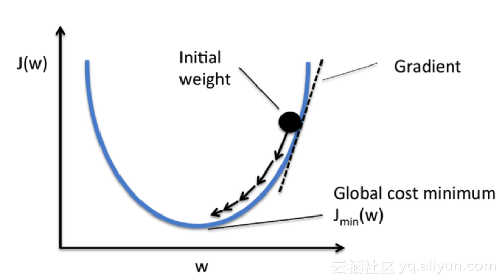 initial weight 初始权重 gradient 梯度 global cost minimum 代价极小值