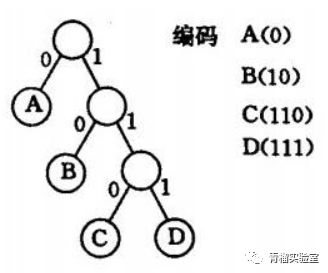 视频编解码