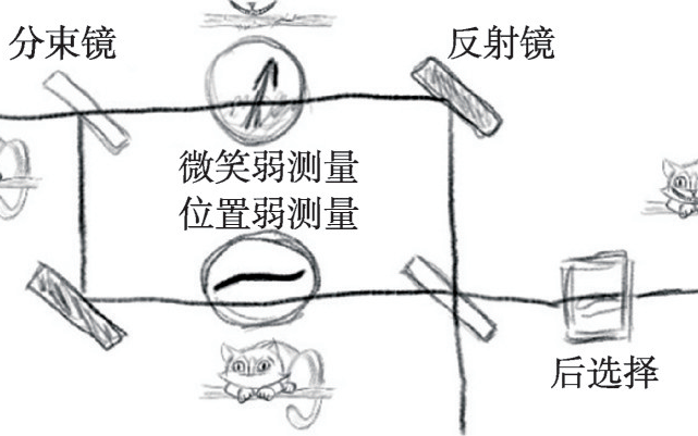 《物理》2020年第9期：兩只“量子柴郡貓”笑臉的無接觸交換