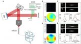 香港科技大学利用自适应光学技术，实现高分辨率神经突触成像