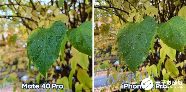 华为Mate40 Pro对比iPhone 12 ...