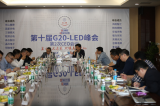 显示定义未来 照明危中寻机