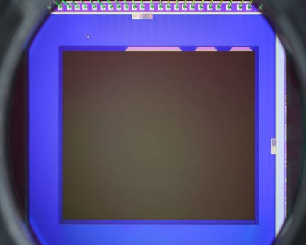 AFM悬臂已被用作物理和化学测量中的传感器