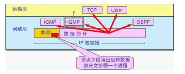 TCP协议