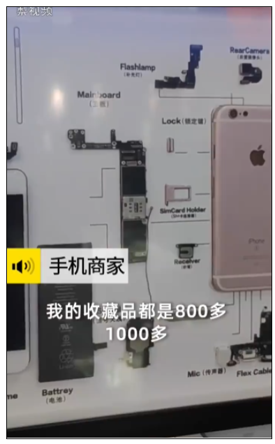iPhone4被制成标本售卖