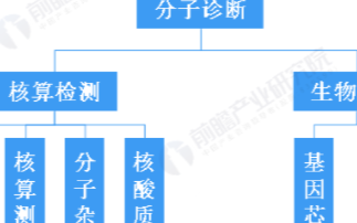 新冠疫情引爆分子診斷市場,2020年全球分子診斷...